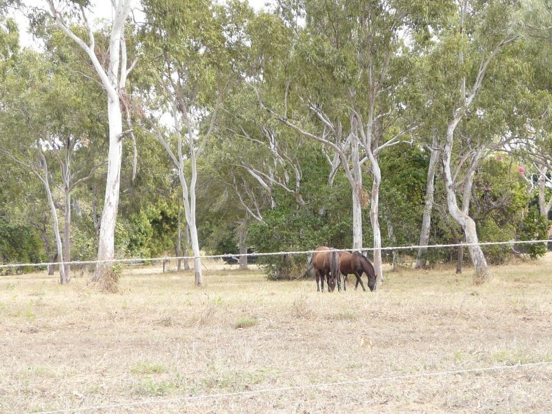 270 WILSON Road, Jarvisfield QLD 4807