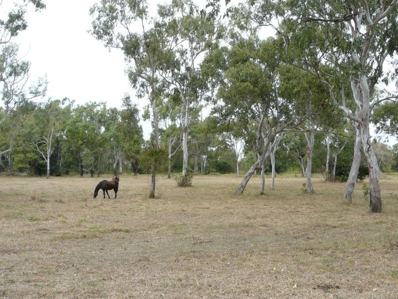 270 WILSON Road, Jarvisfield QLD 4807