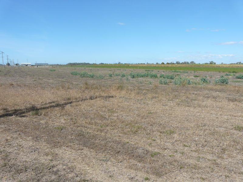 47 GIDDY Road, Mcdesme QLD 4807