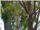 79 FLAGSTAFF BAY , CAPE UPSTART, Bowen QLD 4805