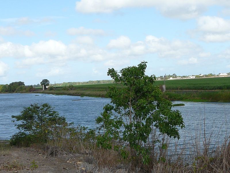 Ayr QLD 4807