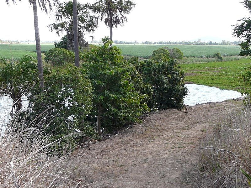 Ayr QLD 4807