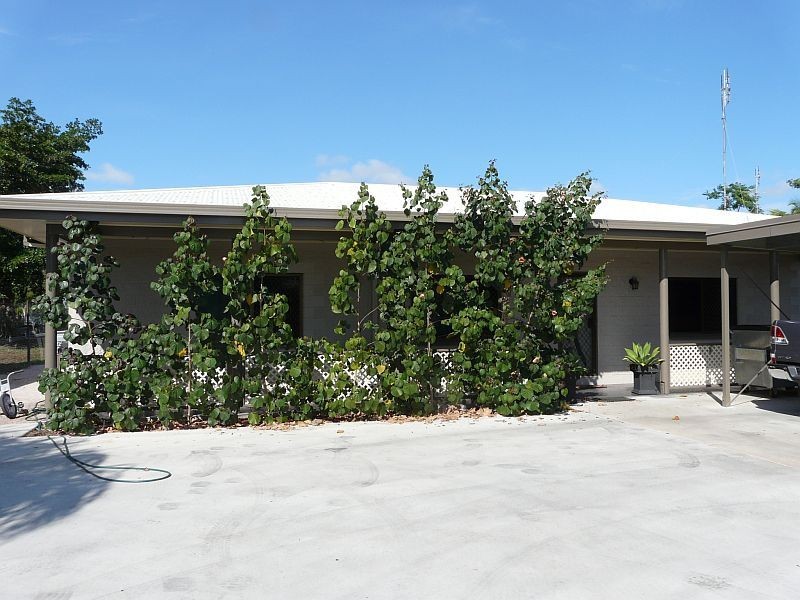 10 PALM Court, Ayr QLD 4807