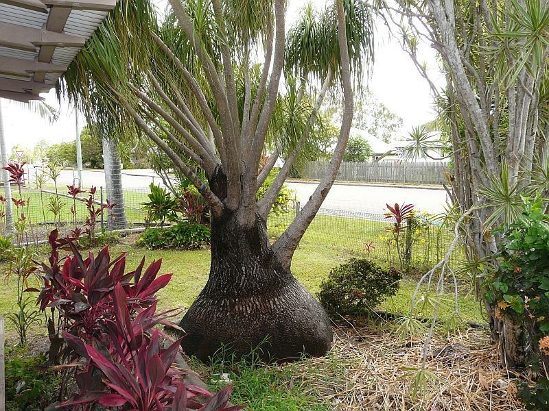 5 WICKHAM Street, Ayr QLD 4807