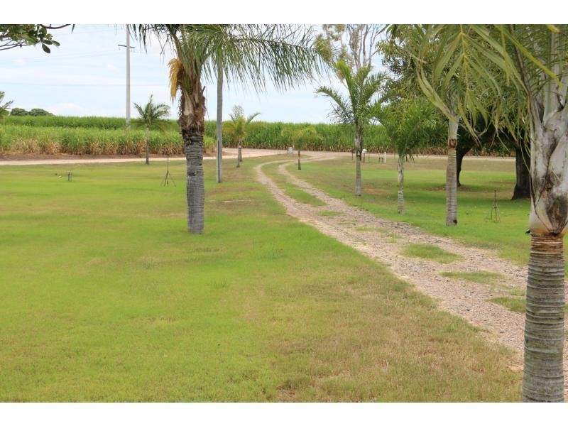 568 IONA Road, Fredericksfield QLD 4806