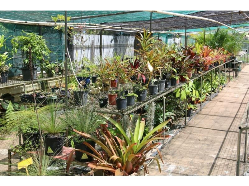 98 DRYSDALE Street, Brandon QLD 4808