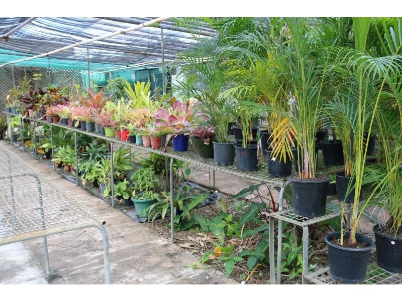 98 DRYSDALE Street, Brandon QLD 4808