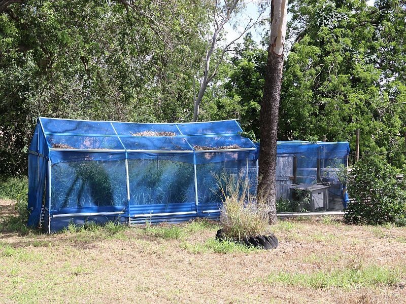 2560 KIRKNIE Road, Kirknie QLD 4806