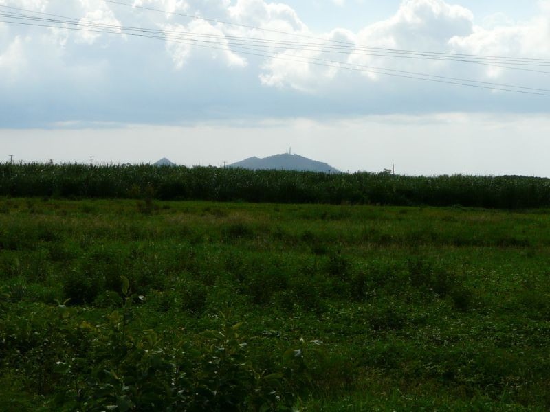 Home Hill QLD 4806
