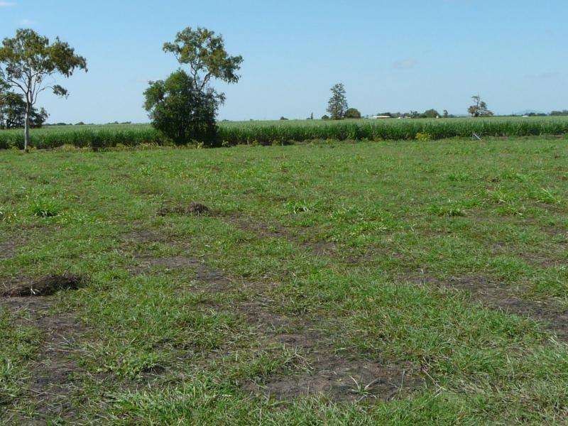 Jarvisfield QLD 4807