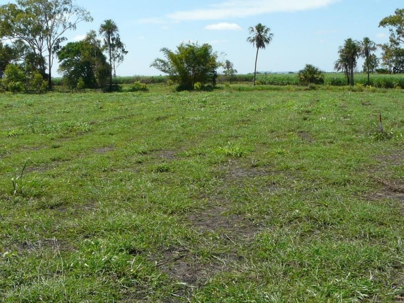 Jarvisfield QLD 4807