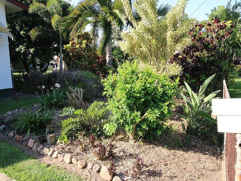 15 SCOTT Street, Ayr QLD 4807