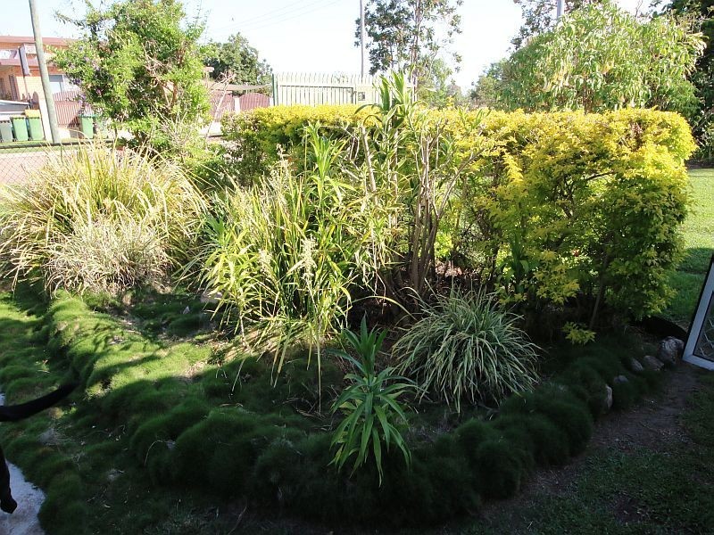 15 SCOTT Street, Ayr QLD 4807