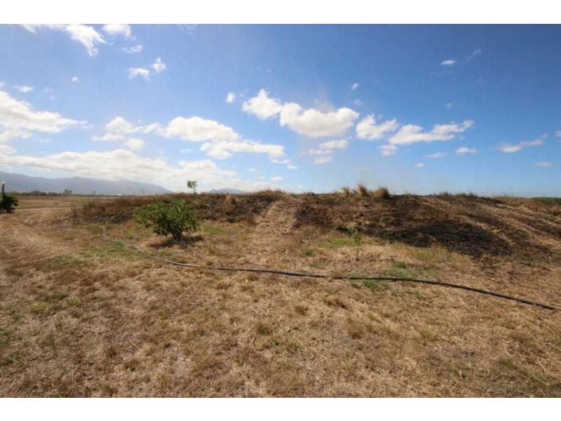 135 BARTLETT Road, Horseshoe Lagoon QLD 4809