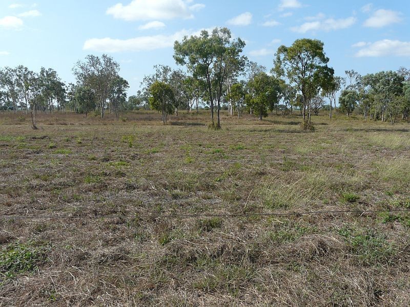 228 KLAKA Road, Fredericksfield QLD 4806