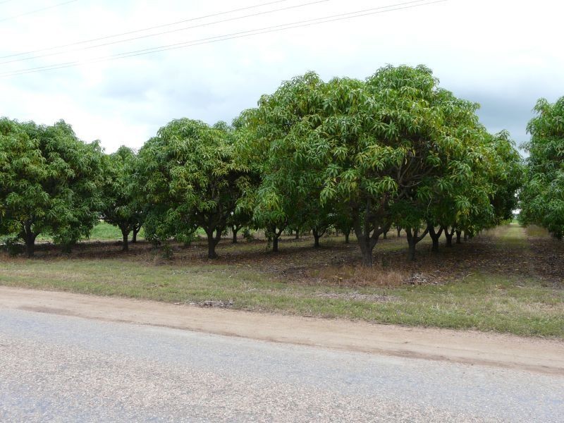 198 MOUNTAINVIEW Road, Airville QLD 4807