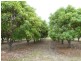 198 MOUNTAINVIEW Road, Airville QLD 4807