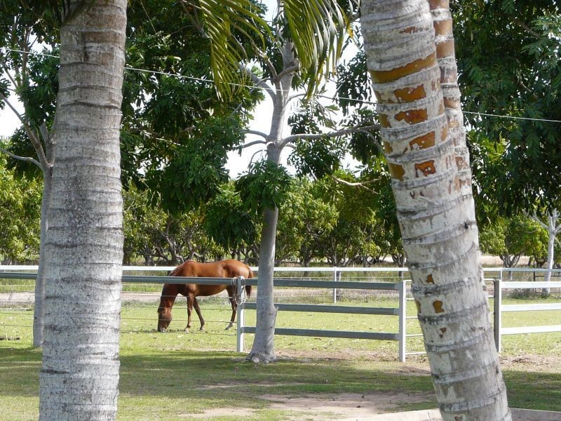 194 MOUNTAINVIEW Road, Airville QLD 4807