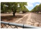 L2 BARR Street, Ayr QLD 4807