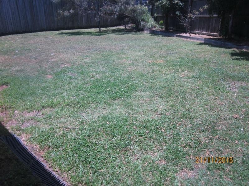 16 Habitat Place, Drewvale QLD 4116