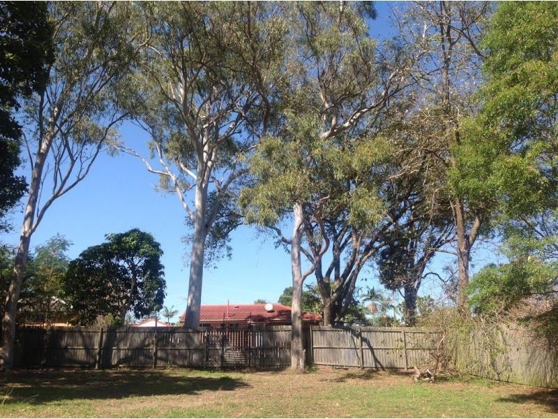 7 Collins Street, Slacks Creek QLD 4127