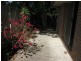 1/7 Tanah Merah Avenue, Tanah Merah QLD 4128