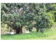 101 Tygum Road, Waterford West QLD 4133