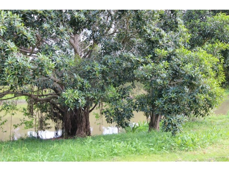 101 Tygum Road, Waterford West QLD 4133
