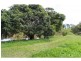 101 Tygum Road, Waterford West QLD 4133