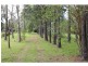 101 Tygum Road, Waterford West QLD 4133