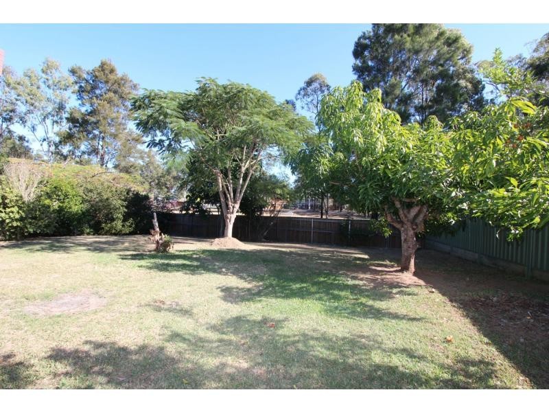 59 Anchusa Street, Kingston QLD 4114