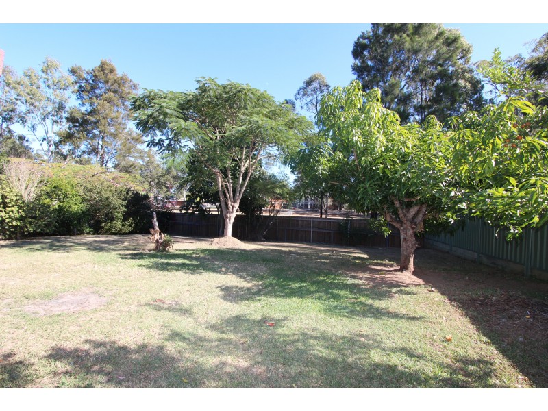 59 Anchusa Street, Kingston QLD 4114