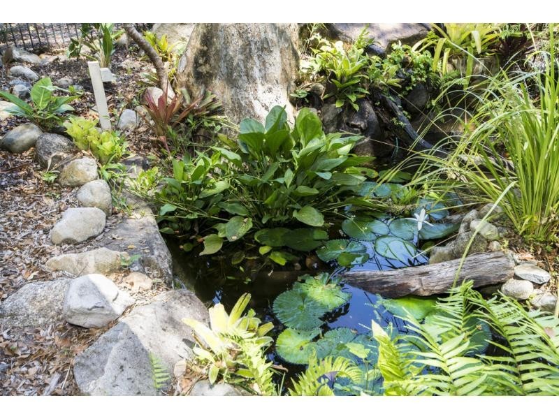 286/1 Anderson Road, Woree QLD 4868