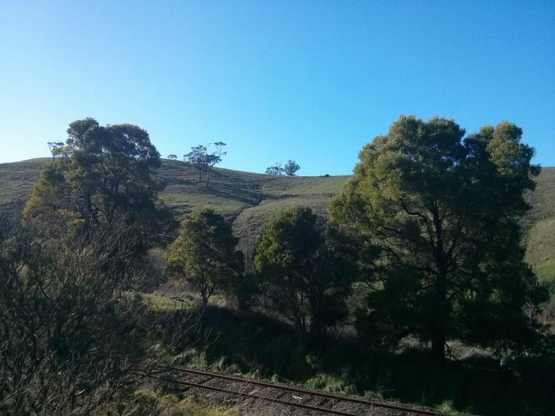 7031 South Gippsland Highway, Loch VIC 3945