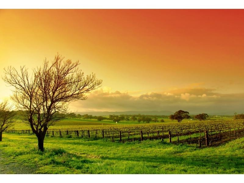 L2/40 Barretts Road, Langwarrin South VIC 3911