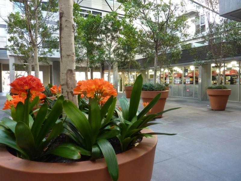 East Melbourne VIC 3002