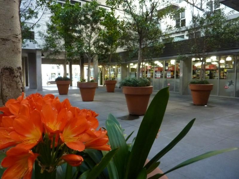 East Melbourne VIC 3002