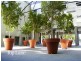 902v/162 Albert Street, East Melbourne VIC 3002
