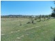 Haigslea QLD 4306