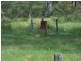 375 Grandchester Mt Mort Road, Grandchester QLD 4340