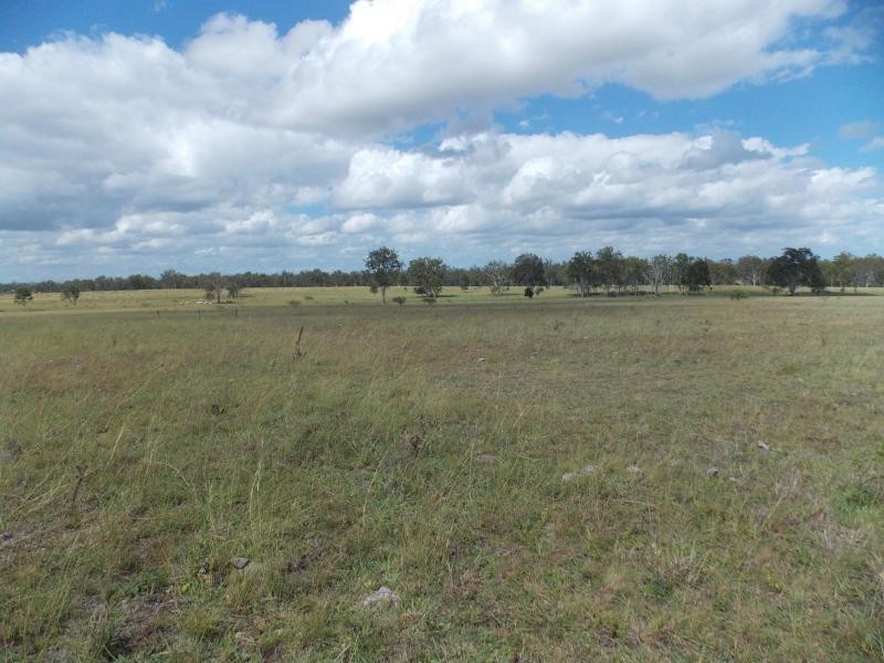 Purga QLD 4306