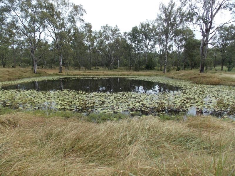 199 Thagoona Haigslea Road, Thagoona QLD 4306