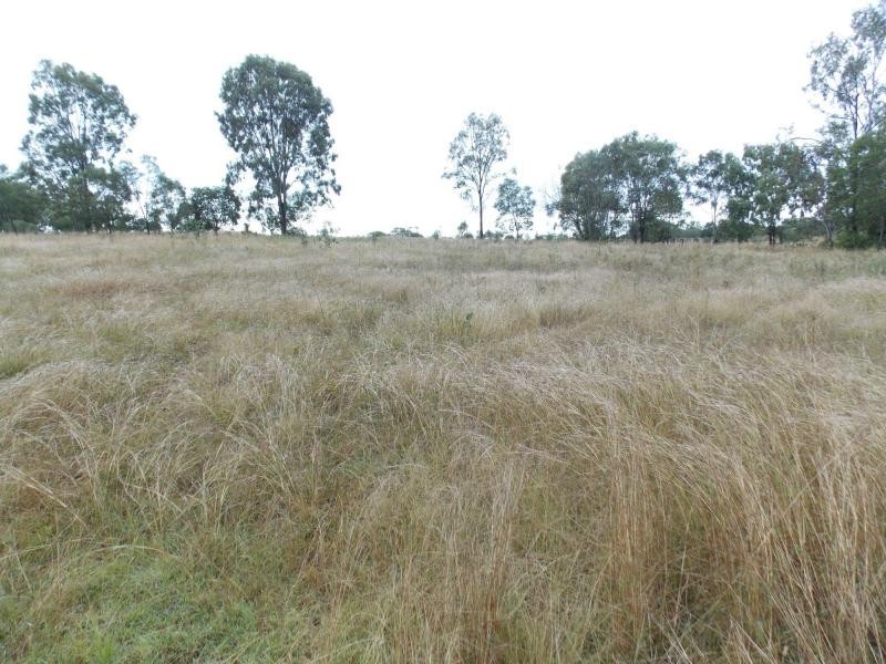 199 Thagoona Haigslea Road, Thagoona QLD 4306