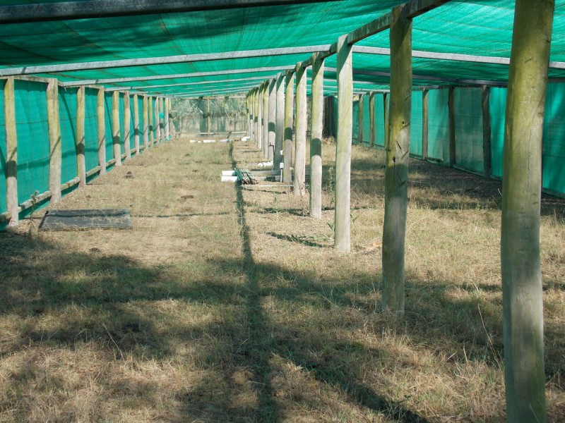 28 – 36 Tarana Avenue, Thagoona QLD 4306