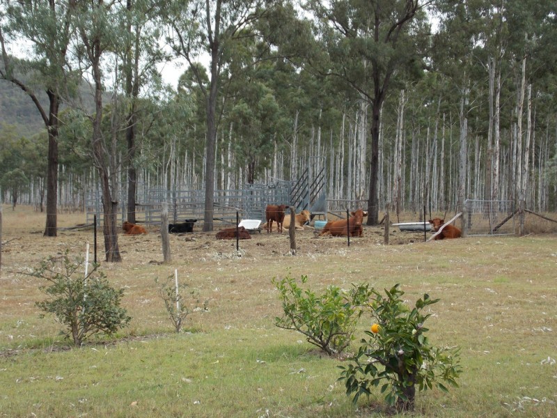 380 Hodges Road, Mount Mort QLD 4340