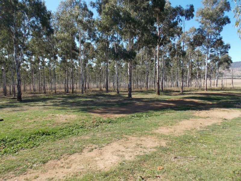 1442 Mt Walker West Road, Merryvale QLD 4340
