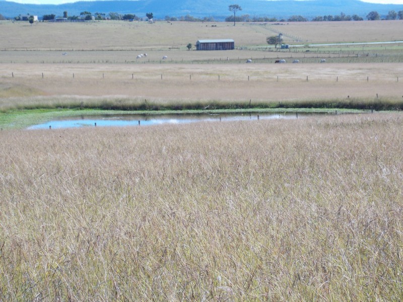 Lot 27 R Griffiths Road, Mount Walker QLD 4340