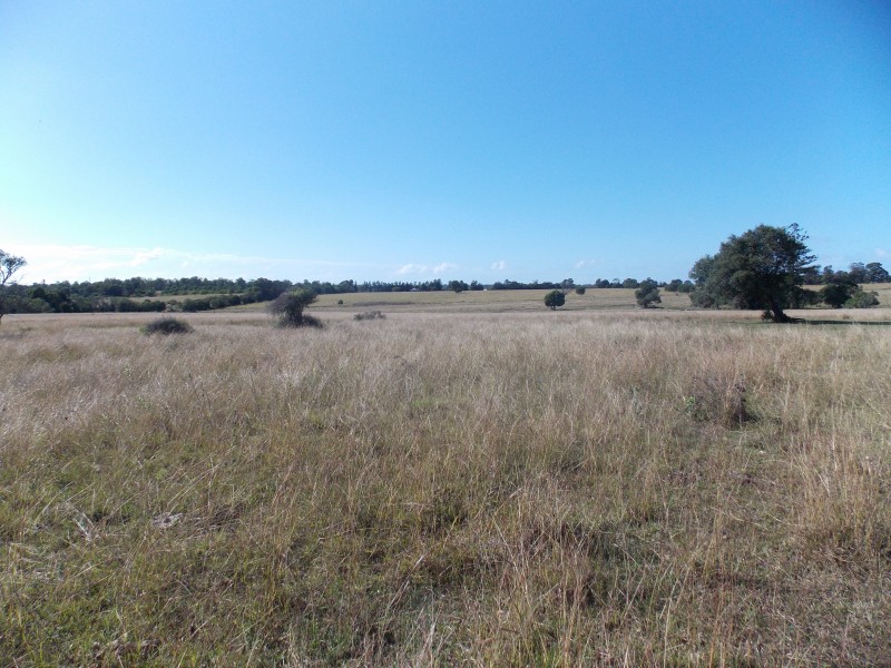 Lot 2 Bellview Road, Haigslea QLD 4306