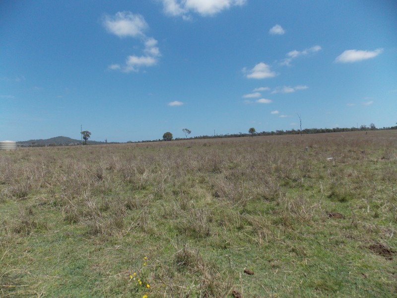 199 Mt Forbes School Rd, Mount Forbes QLD 4340