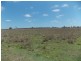 199 Mt Forbes School Rd, Mount Forbes QLD 4340